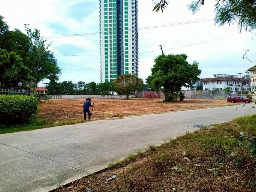  ขายที่ดิน 5 ไร่ 55 ตร.ว. – จอมเทียน สาย 2 พัทยา