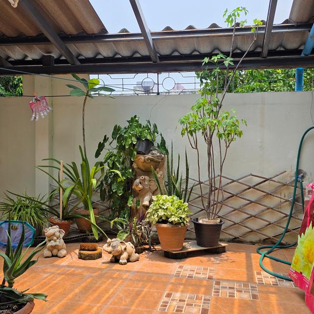 ขายตึกแถว 3 ชั้น 2 คูหา 21.4 ตร.วา เจริญกรุง109 แยก8 ถนนตก บางคอเเหลม 13