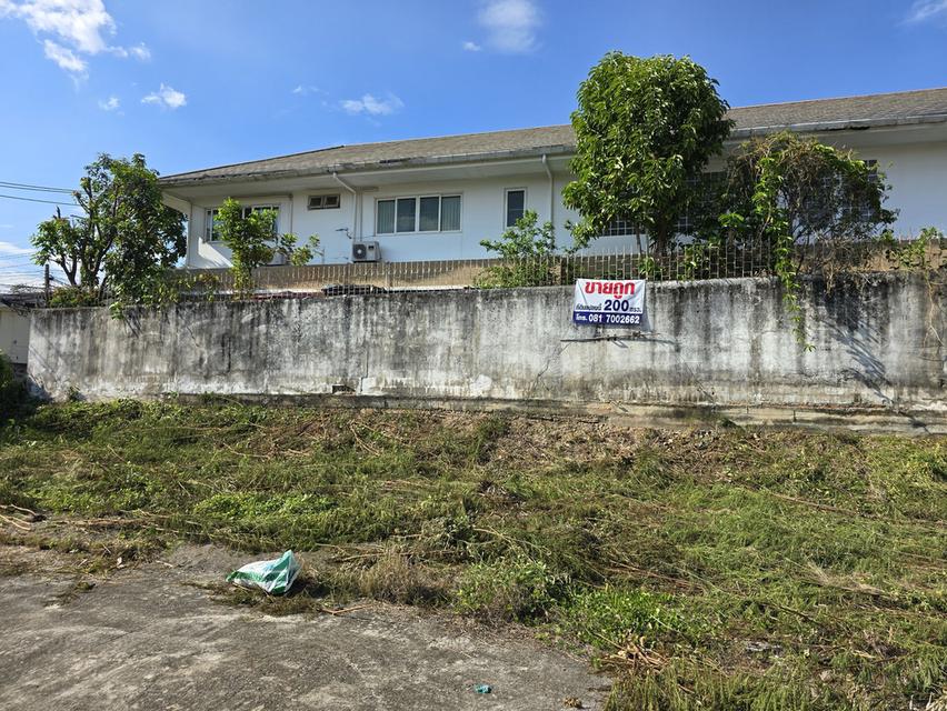 ขายที่ดิน อ.เมืองเชียงใหม่ 200 ตร.วา. 6
