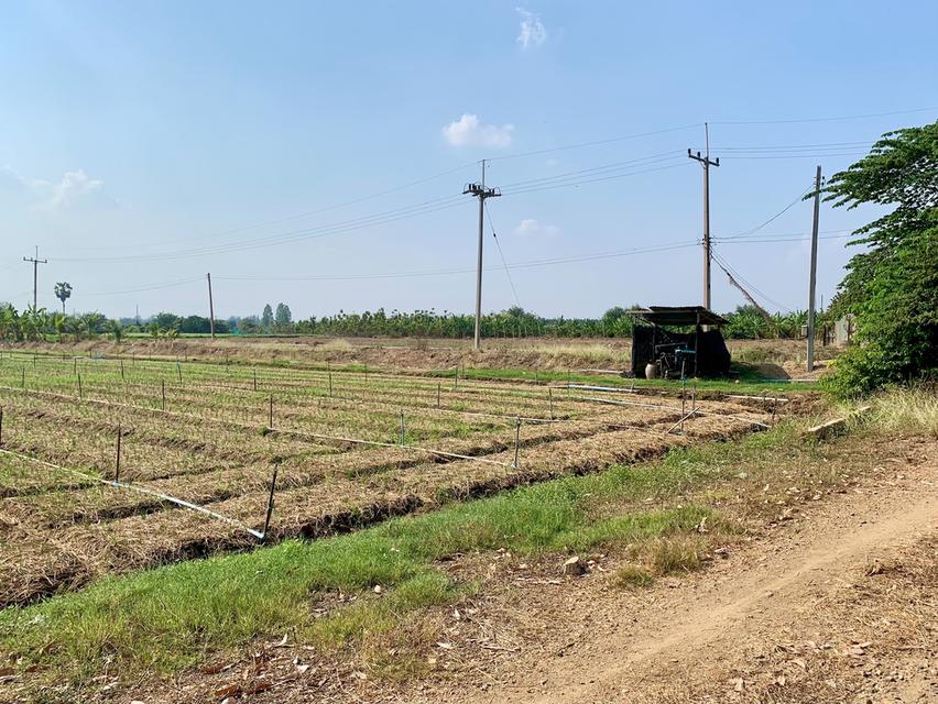 ขายที่ดิน16ไร่ ต.วังศาลา อ.ท่าม่วง แปลงสวย ทำเลดี แหล่งชุมชน ใกล้กรุงเทพ เดินทางสะดวก 5