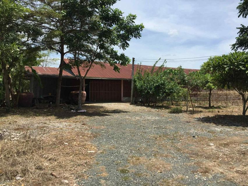 ที่ดินเพชรบูรณ์อำเภอเมือง 9