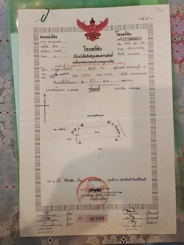 ขายที่ดินพร้อมสิ่งปลูกสร้าง บ้านเรือนไทย โฉนดที่ดิน ครุฑแดง อำนาจเจริญ  6