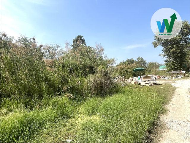 ขายที่ดินทรงสี่เหลี่ยมสวย 40x39 ม. พื้นที่ใช้สอยคุ้มค่าทุกตารางนิ้ว 2