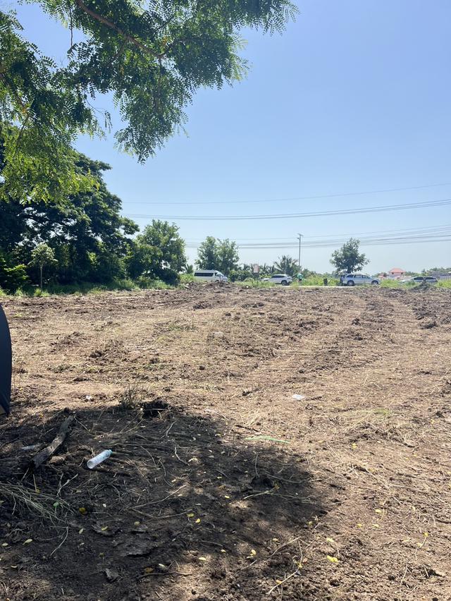 ที่ดินเปล่า ติดถนน ตำบลพืชอุดม อำเภอลำลูกกา จังหวัดปทุมธานี 1