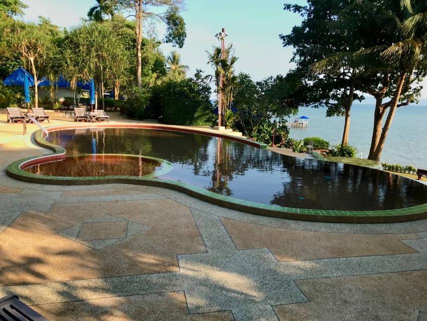 รีสอร์ทเกาะหมาก8ไร่3งาน 7