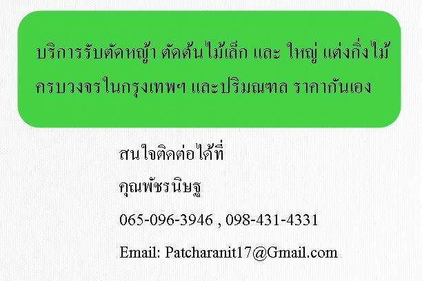 บริการรับตัดหญ้า ตัดต้นไม้เล็ก และ ใหญ่ แต่งกิ่งไม้ ครบวงจรในกรุงเทพฯ และปริมณฑล ราคากันเอง