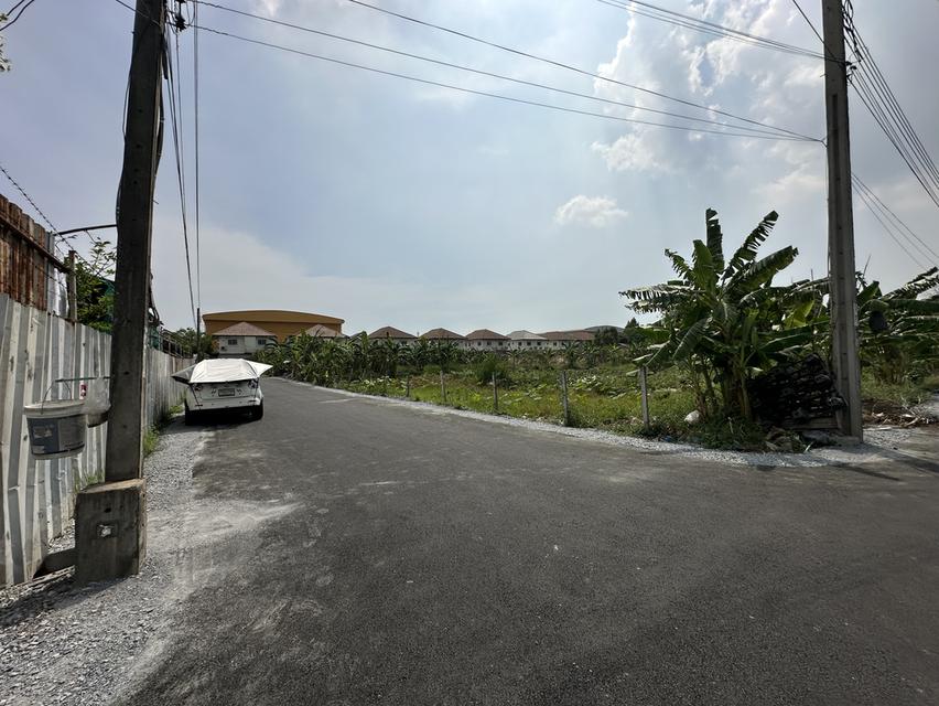 ขายที่ดิน 4 ไร่ ถนนพัฒนาชนบท 3 ซอยสมร ใกล้มอเตอร์เวย์กรุงเทพ-ชลบุรี รูปย่อยที่ 4