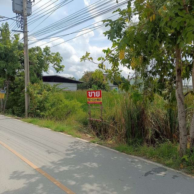 ที่ดินเปล่า 4