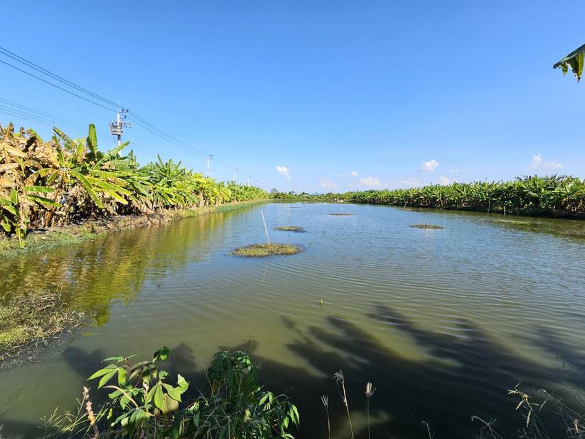 ขายที่ดิน 1 ไร่ ซอยวัดบัวโรย สมุทรปราการ 6