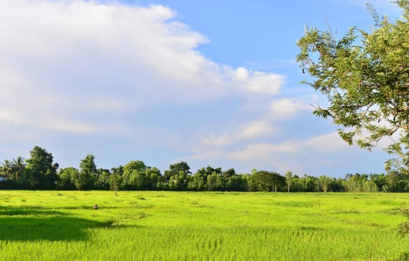 ที่ดินขนาดใหญ่ ใกล้เขตเศรษฐกิจการค้าชายแดนประเทศลาวและจีนตอนใต้ 1