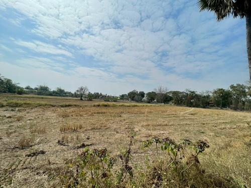 ขายที่ดิน 3 งาน 78.0 ตรว. ต.ขามทะเลสอ อ.ขามทะเลสอ จ.นครราชสีมา 11