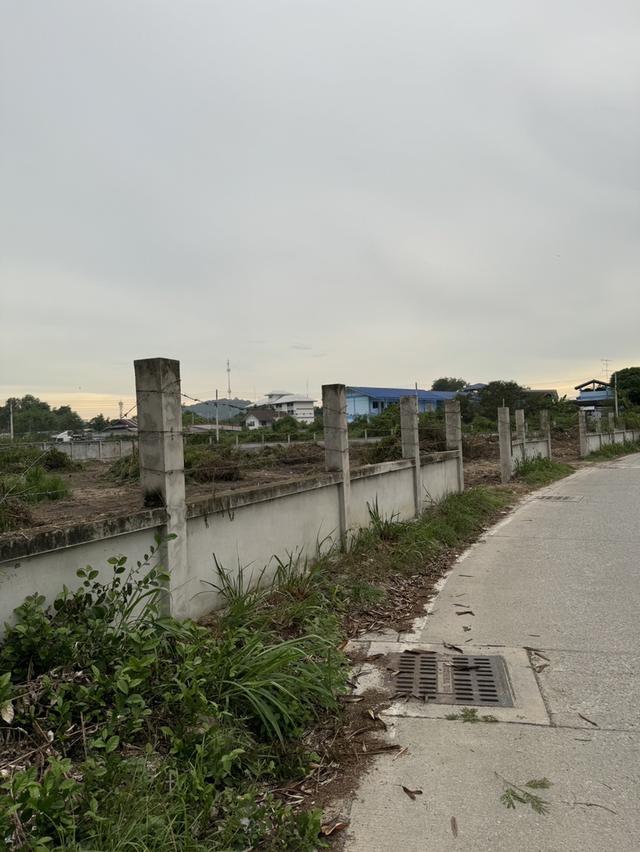 ที่ดินชลบุรี 5