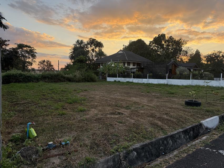 ขายที่ดินเปล่าหมู่บ้านเนินน้ำ 9