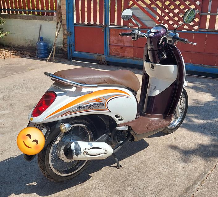 Honda scoopy i รถมือสอง รูปที่ 3