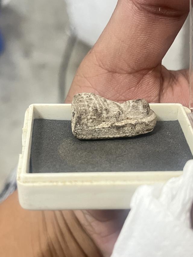 ปู่ทวด2497 ราคาวัดดวงเลย2500 5