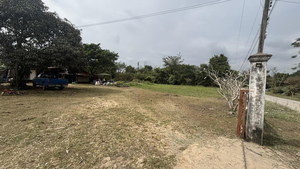 บ้านพร้อมที่ดิน คลองสอง วังน้ำเขียว 7