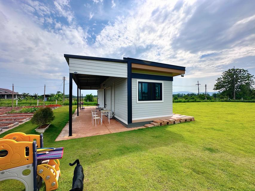 ขายบ้านสวนพร้อมที่ดิน 12 ไร่เศษ อเมืองเชียงราย ตห้วยสัก เหมาะทำคาเฟ่และฟาร์มสเตย์ เดินระบบไฟใต้ดินเรียบร้อย 17