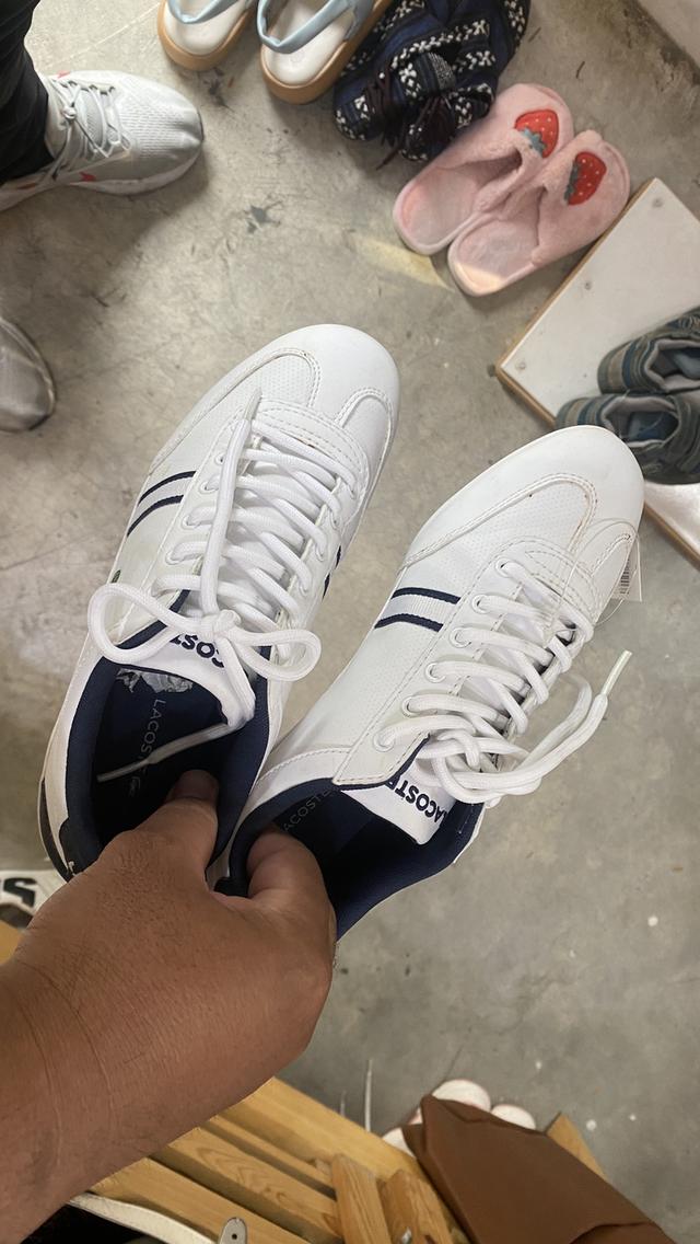 Lacoste Youth MISANO 116 Sneakers in Navy 11