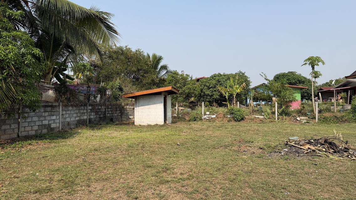 บ้านพร้อมที่ดิน พื้นที่2 งาน 90 ตรว. 5