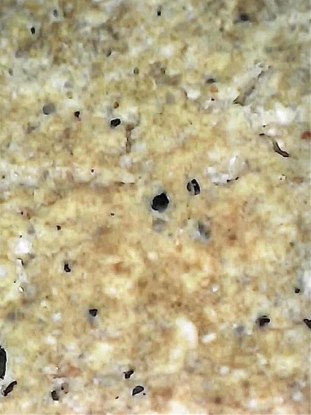 พระสมเด็จวัดระฆังพิมพ์ใหญ่เกศทะลุซุ้ม 15