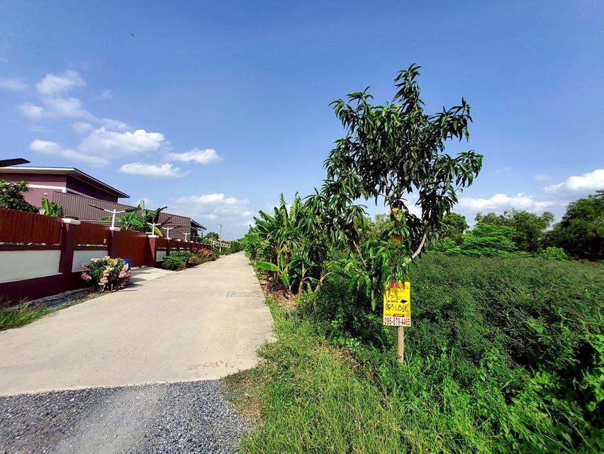 ที่พิน 3