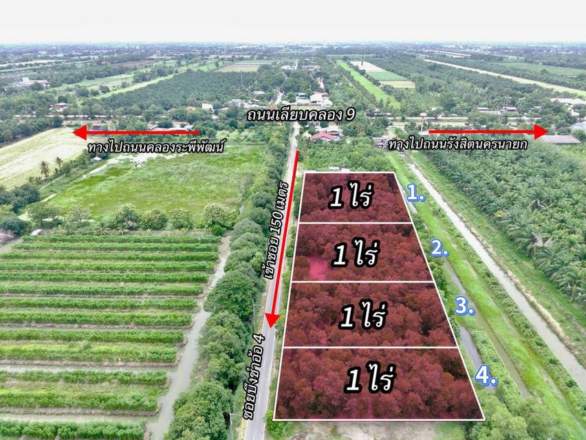 ที่ดินสวย คลอง 9 ปทุมธานี ทำเลดี ถมแล้วพร้อมสร้าง ตำบล บึงชำอ้อ อำเภอ หนองเสือ ปทุมธานี 2