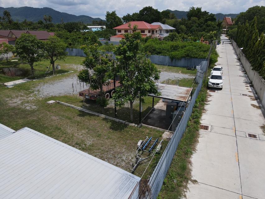 ที่ดินพร้อมบ้าน ห้วยกะปิ เมือง ชลบุรี 8