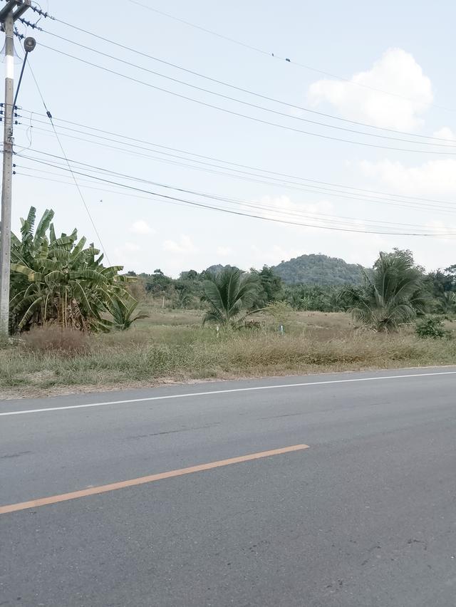 ขายที่ดิน 6ไร่ ต น้ำพุ อ เมืองราชบุรี 5