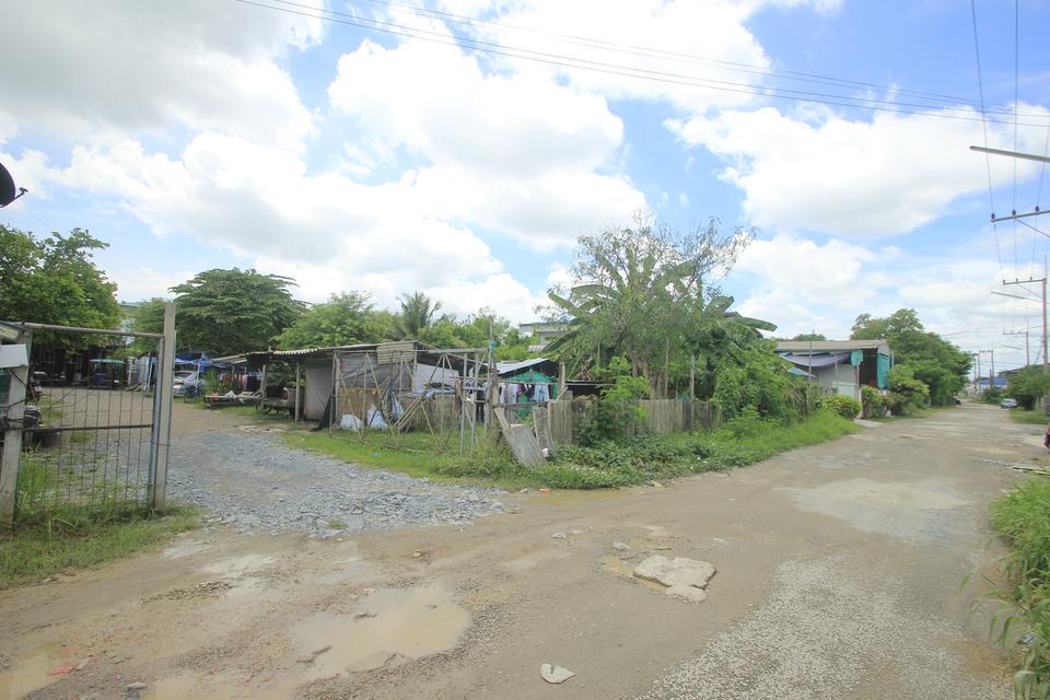 ขายกิจการหอพักพร้อมที่ดิน 200ตารางวา 18ห้องเช่า ผู้เช่าเต็ม เลียบคลองสี่วาพาสวัสดิ์ ใกล้โรงพยาบาลผู้สูงอายุศิริราช พระราม2 ลงทุนคุ้มค่า 16