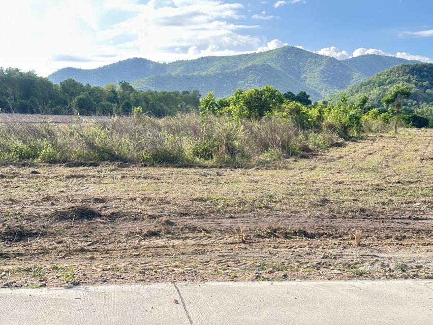 ที่ดิน พุหวาย ชะอำ จ เพชรบุรี ขนาด 6.375 ไร่  5