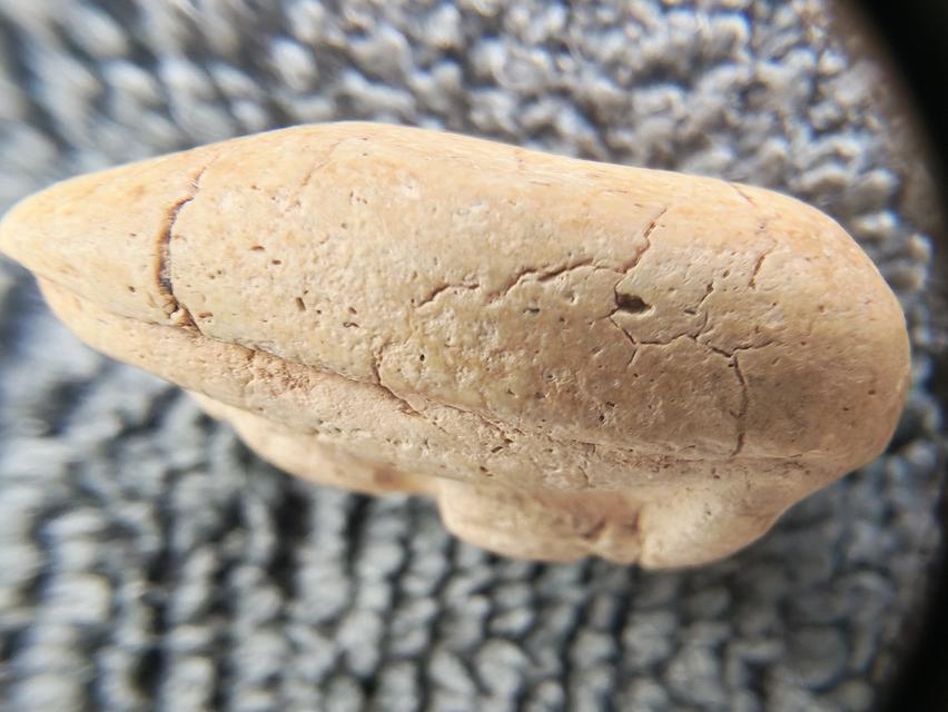 สมเด็จวัดพลับ พิมพ์พุงป่องใหญ่ รูปที่ 9