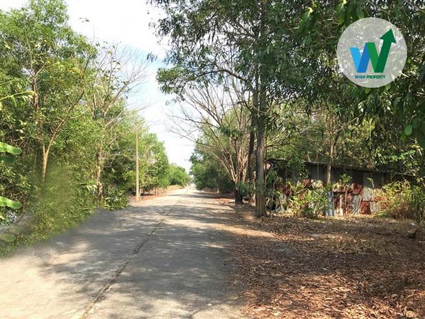 ขายที่ดินเปล่า 63 ตร.ว. น้ำไฟเข้าถึงแล้ว กว้าง 14 ม. ลึก 18 ม. รูปสี่เหลี่ยมผืนผ้า ใกล้โรงเรียนชุมชนบึงบาหนองเสือ 9