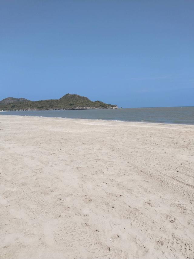 ที่ดินทำเลทอง ติดชายทะเล หาดสวนตัว หน้ากว้างถึง 110 เมตร กุยบุรี ประจวบคีรีขันธ์ ใกล้หมู่บ้าน ใกล้สะพานปลา มีวิวภูเขา ด้านหน้าเป็นวิวทะเลหาดส่วนตัว 7