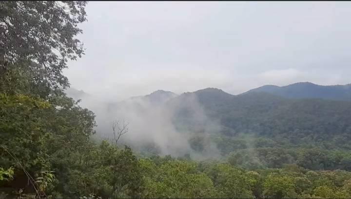 ที่ดินเปล่าวิวสวย เหมาะทำบ้านตากอากาศหรือรีสอร์ท ท่ามกลางธรรมชาติ 10