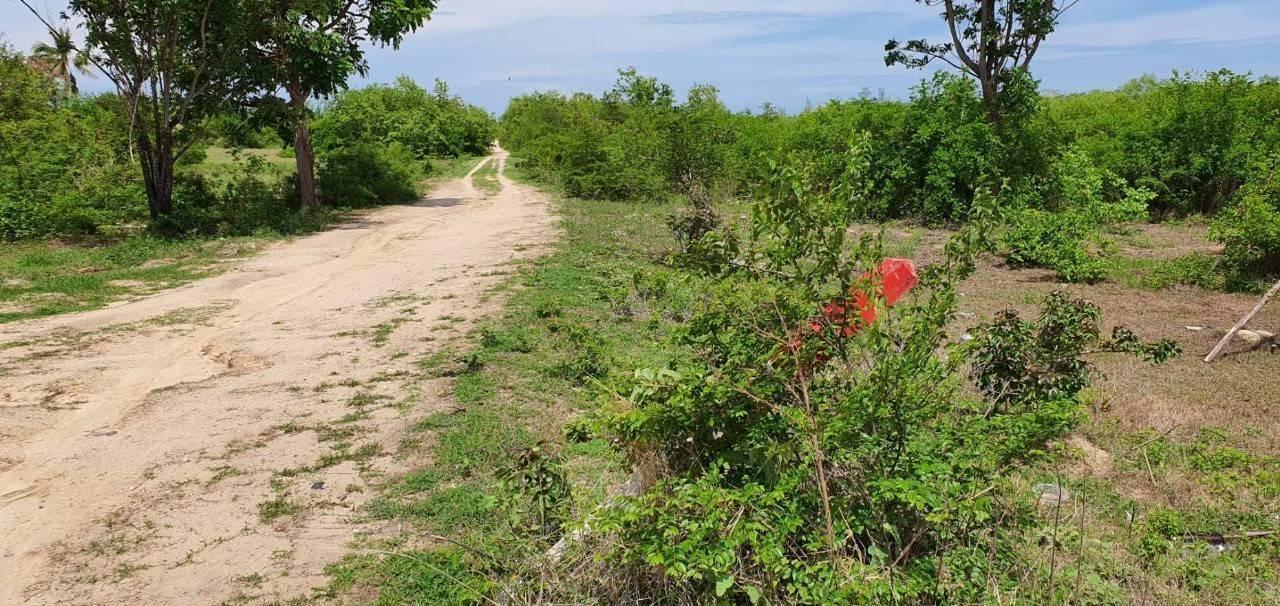 ขายที่ 259ไร่ ติดหาดทราย ทับสะแก ประจวบคีรีขันธ์ 5