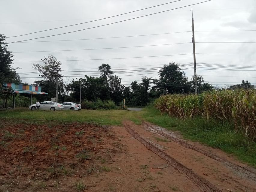 ขายที่ดิน ปักธงชัย ใกล้สหกรณ์ ลาน3 8