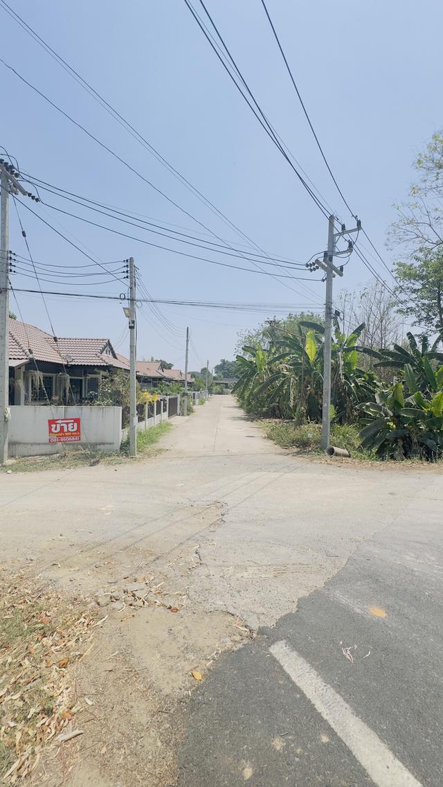 ที่ดินเปล่า สารภีเชียงใหม่ 5