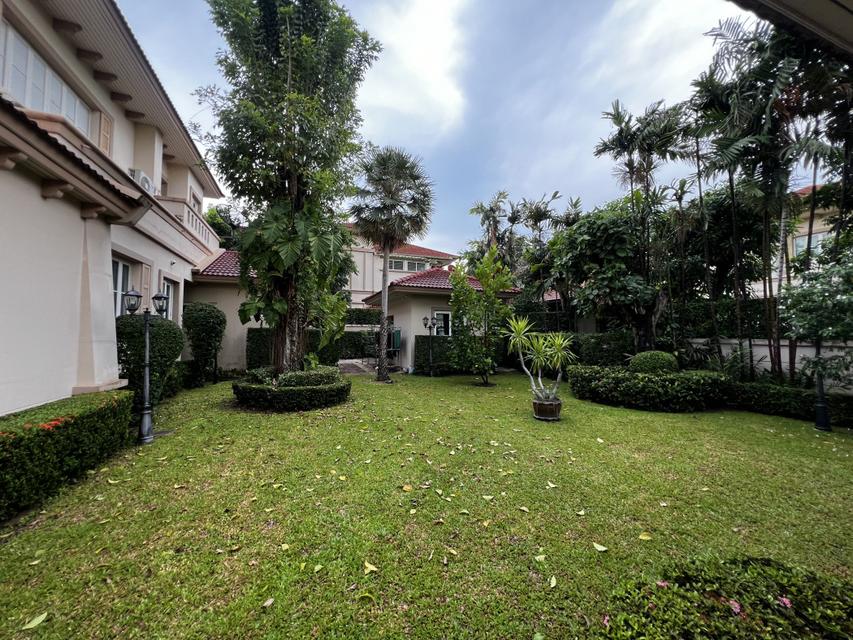 ให้เช่าบ้านหรู พร้อมสระว่ายน้ำในบ้าน Q House Avenue ราชพฤกษ์ - พระราม 5 3