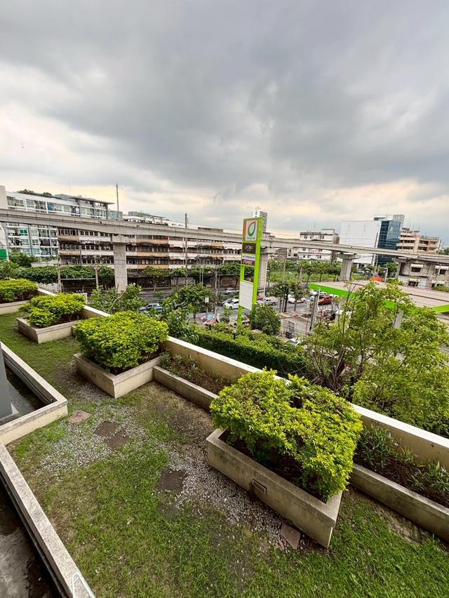 ให้เช่า 1ห้องนอน MRT ลาดพร้าว Life @ Ratchada (ไลฟ์ แอท รัชดา) ลาดพร้าว 36 15