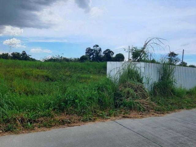 ขายที่ดินสวยราคาถูกหนองบอนแดง บนเนื้อที่ดิน 25-0-51 ไร่ (พร้อมโอน)อยู่ในโซนอุตสาหกรรมหนองบอนแดง