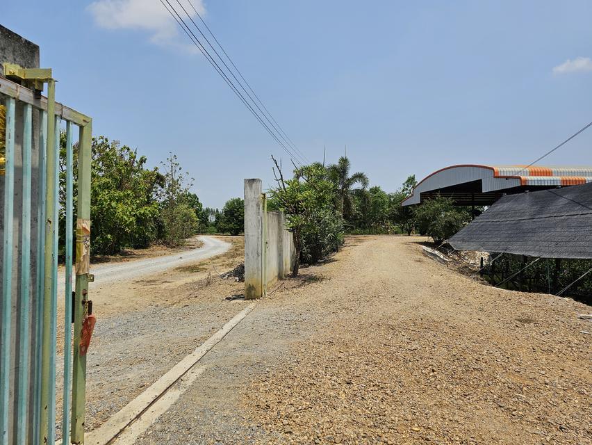 💫ขายที่ดิน💫 พร้อมโรงเรือนกล้วยไม้ 43ไร่ 2งาน กำแพงแสน นครปฐม เพียง 650,000/ไร่ 9