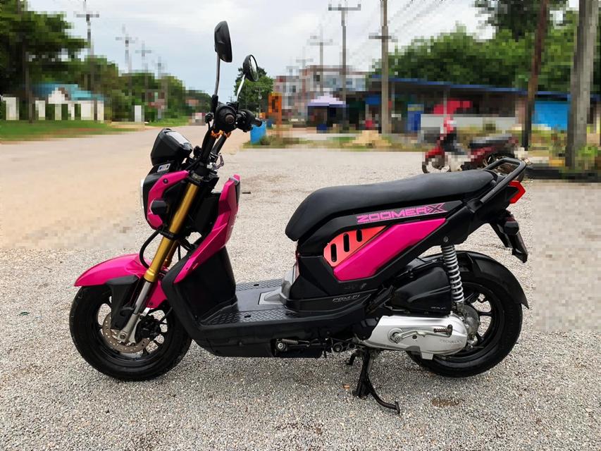 Honda Zoomer X ปี 58 เอกสารครบพร้อมโอน เครื่องเดิมไม่หอนไม่ควัน สภาพนางฟ้า