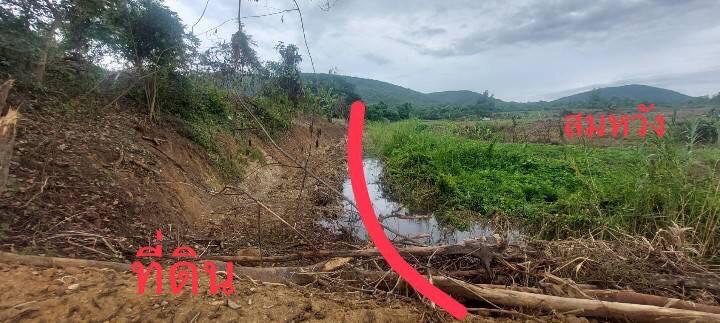 ที่ดินเปล่าแปลงสวย,ลำพูน 1