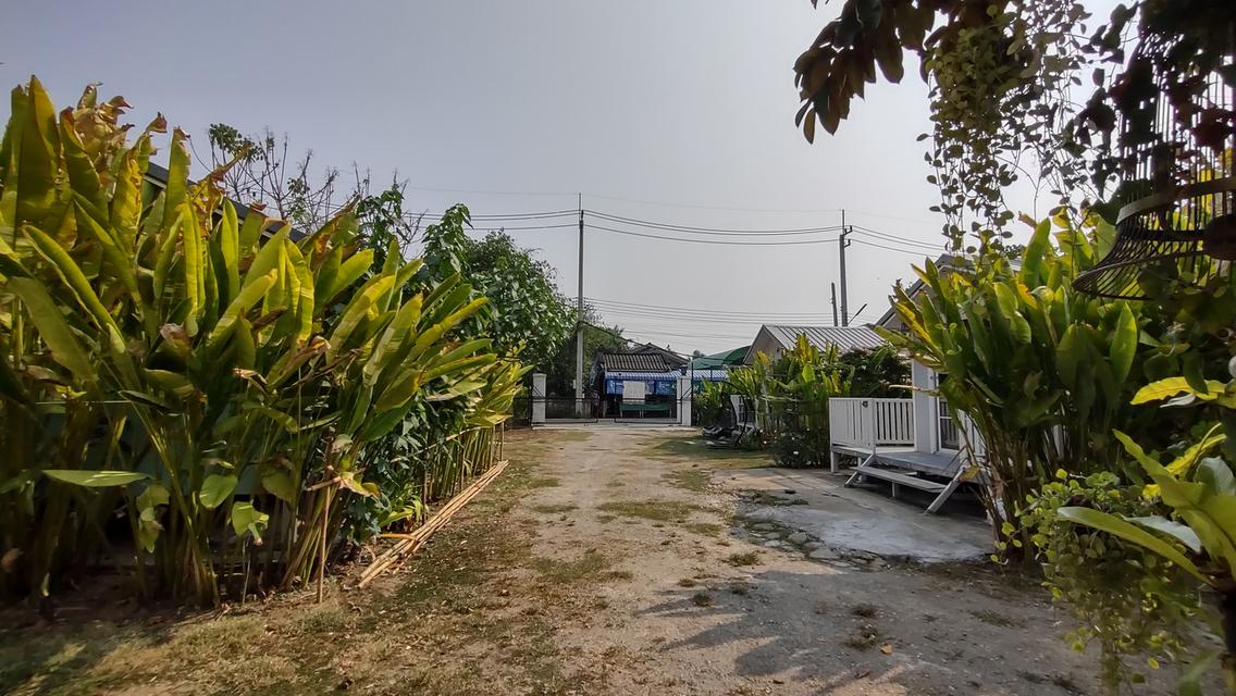 บ้านพร้อมที่ดิน215ตรว 3.5ล้าน 11