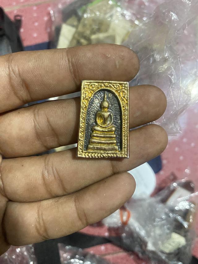 หลวงพ่อแพหลังเสือ   