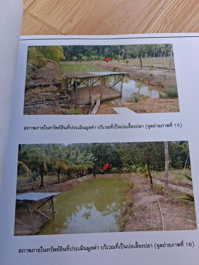 บ้านหนึ่งไร่ 13 งาน/ 4