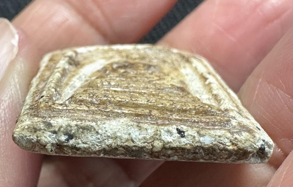 องค์ละ 1000🙏พระสมเด็จพระบ้าน พิมพ์ต่างๆ สนใจสอบถามได้ค่ะ รูปที่ 15