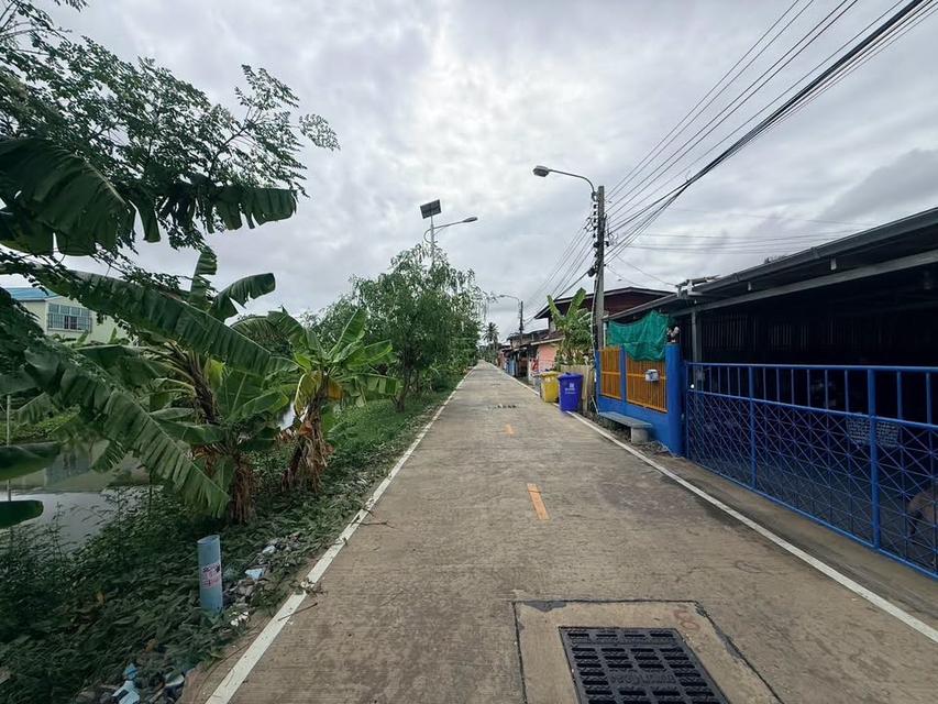ขายด่วนที่ดิน 350 ตรว ติดถนนคอนกรีต ซ.จตุโชคชัย 3/4 บางพลี สมุทรปราการ 6