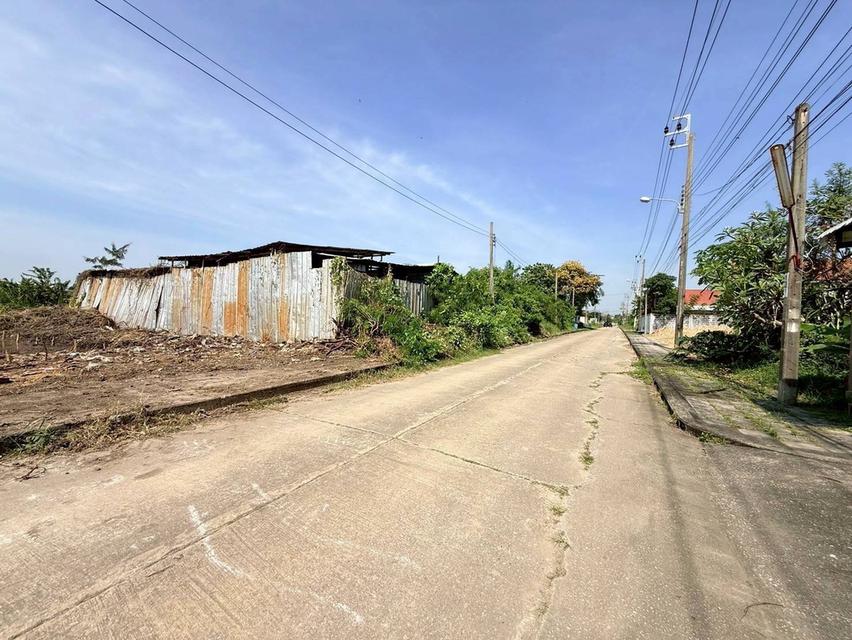 Vายถูกที่ดินบางแวก 75 ตารางวา ติดถนนคอนกรีตสาธารณะ ถมแล้ว 10