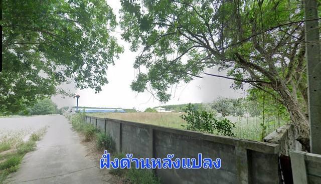 ขายที่ดิน 9-3-31 ไร่ แปลงสวย ติดถนนสองฝั่งหน้าหลัง พื้นที่ม่วงจุดขาว มาบยางพร ปลวกแดง 3